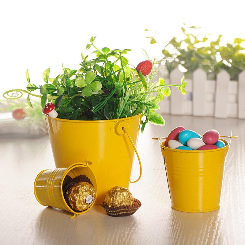 Decor Creative Candy-Colored Small iTin Pot Tinplate Craft Flower Pot For Children Holding Small Tin Bucket